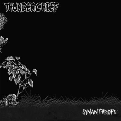 VA - Thunderchief - Synanthrope (2021) (MP3)