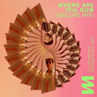 VA - Lost Frequencies & Calum Scott - Where Are You Now (Deluxe Mix) (2021) (MP3)