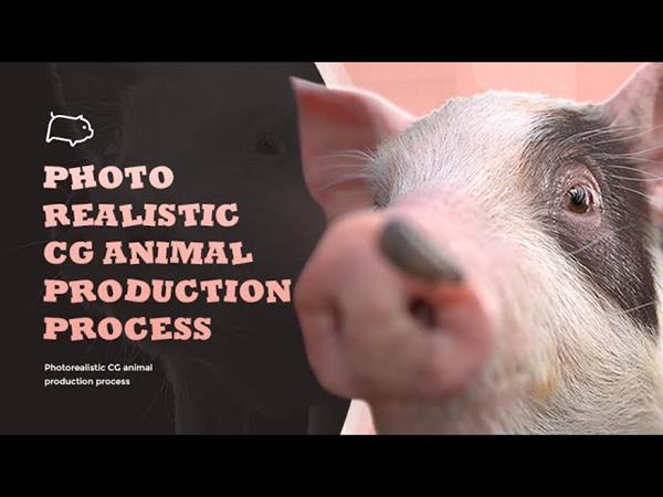 Wingfox - Photo realistic CG Animal Production Process