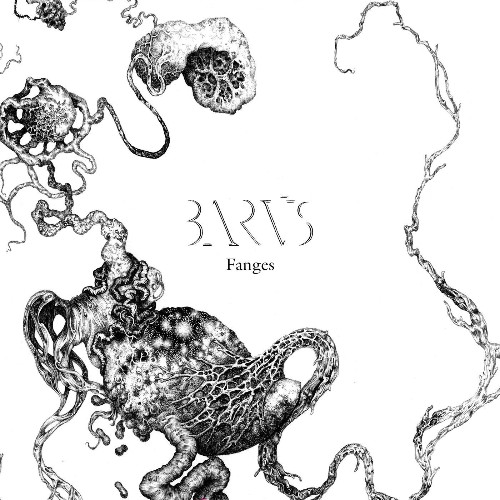 VA - Barus - Fanges (2021) (MP3)