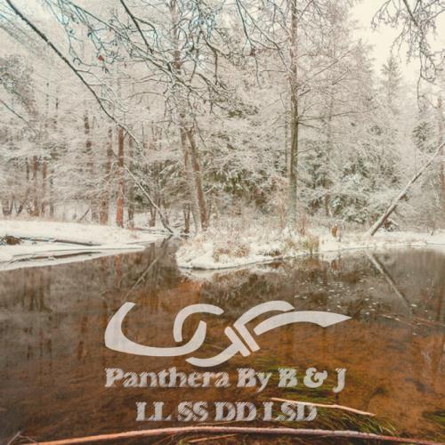 VA - Panthera By B & J - LL SS DD LSD (2021) (MP3)