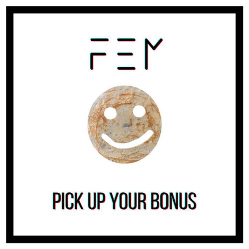 VA - F.E.M - Pick Up Your Bonus (2021) (MP3)