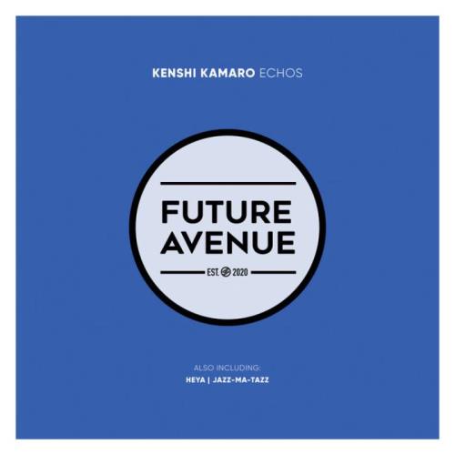 VA - Kenshi Kamaro - Echos (2022) (MP3)