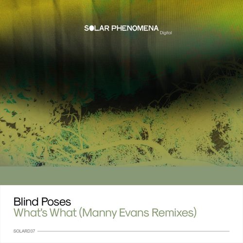 VA - Blind Poses - Whats's What (Manny Evans Remixes) (2021) (MP3)