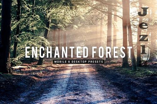 Enchanted Forest Lightroom Presets - 6812497