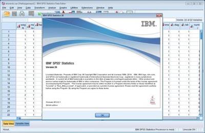 IBM SPSS Statistics 26.0 FP001 IF011(IF014)IF015(IF016) 1caa892ff56d93c0f48aa6bda201cdd1