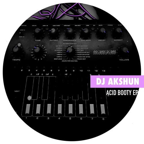 VA - DJ Akshun - Acid Booty EP (2021) (MP3)