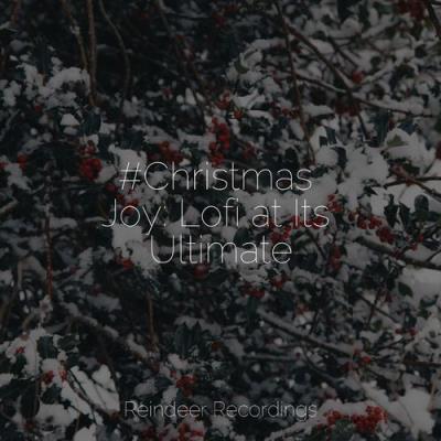VA - Santa Clause, Christmas Time & The Christmas Collection - #Christmas Joy: Lofi at Its Ultimate (2021) (MP3)