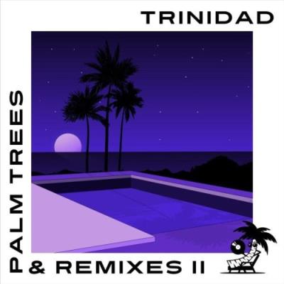 VA - Trinidad - Palm Trees & Remixes, Vol. II (2021) (MP3)