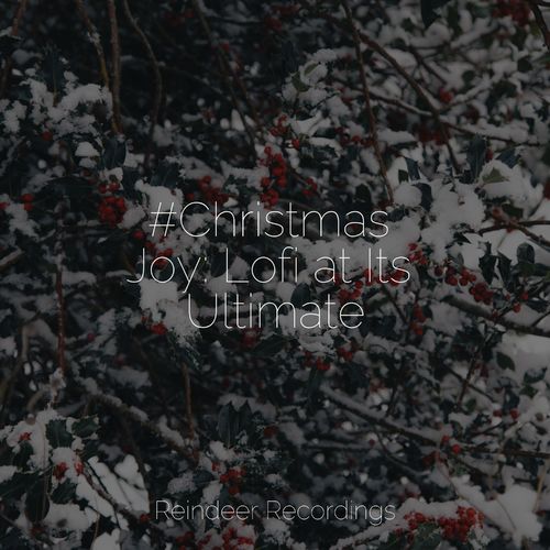 VA - Santa Clause, Christmas Time & The Christmas Collection - #Christmas Joy: Lofi at Its Ultimate (2021) (MP3)