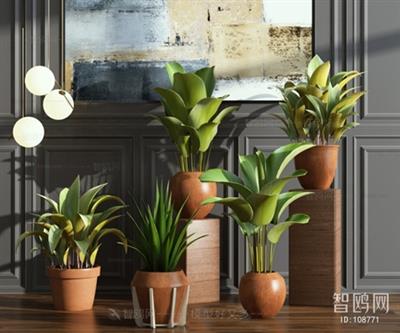 Plants collection 108771