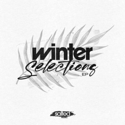 VA - Salted Music - Winter Selections (2021) (MP3)