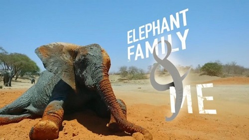BBC - Elephant Family and Me (2016)