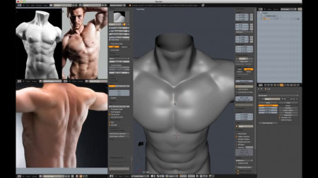 Blender: Sculpt a male torso for beginners