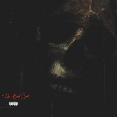 VA - The Bad Seed - The Bad Seed (2021) (MP3)