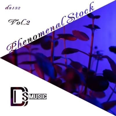 VA - Phenomenal Stock, Vol. 2 (2022) (MP3)