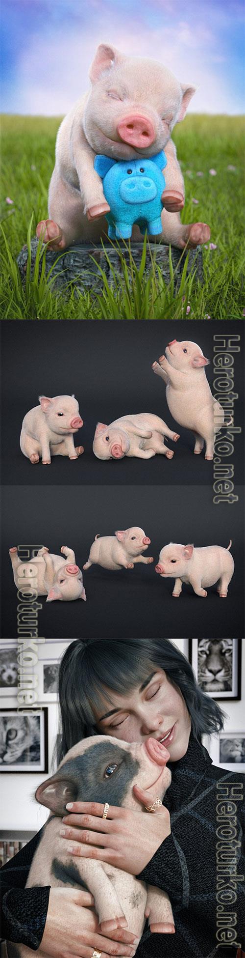Fury The Piglet Fury The Piglet