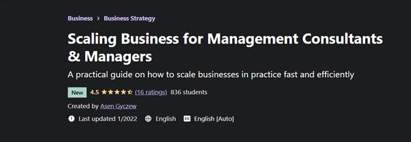 Scaling Business for Management Consultants & Managers 2022