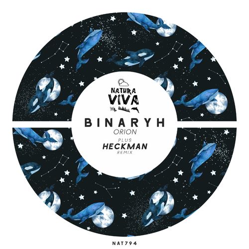 VA - Binaryh - Orion (2022) (MP3)