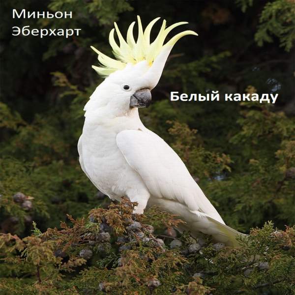 Миньон Эберхарт - Белый какаду (Аудиокнига)