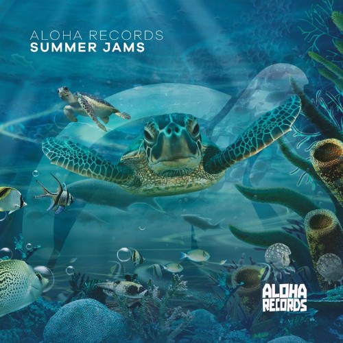VA - Aloha Records - Summer Jams (2022) (MP3)
