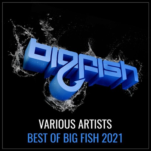 VA - Best of Big Fish 2021 (2022) (MP3)