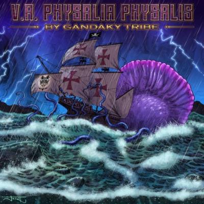 VA - Physalis Physalia (2022) (MP3)