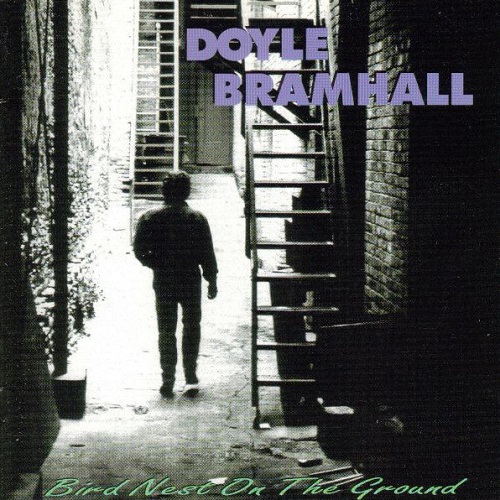 Doyle Bramhall - Bird Nest On The Ground (1994)