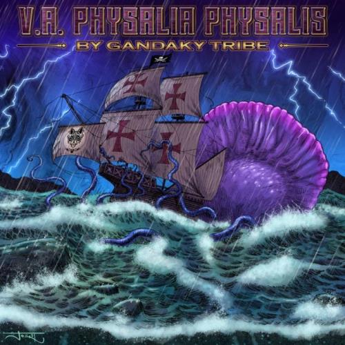 VA - Physalis Physalia (2022) (MP3)