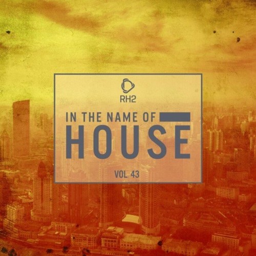 VA - In the Name of House, Vol. 43 (2022) (MP3)