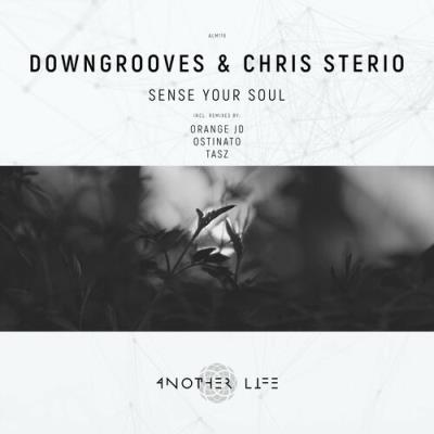 VA - Downgrooves & Chris Sterio - Sense Your Soul (2022) (MP3)