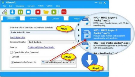 Allavsoft Video Downloader Converter 3.24.2.8037 Multilingual Portable