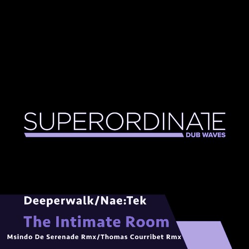 Deeperwalk & Nae:Tek - The Intimate Room (The Remixes) (2022)