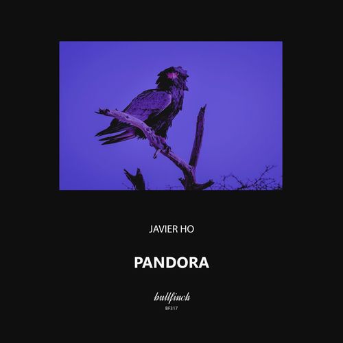 VA - Javier Ho - Pandora (2022) (MP3)