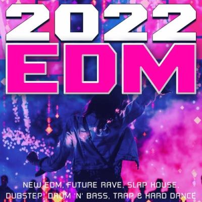 VA - 2022 EDM - New EDM, Future Rave, Slap House, Dubstep, Drum 'n' Bass, Trap & Hard Dance (2022) (MP3)