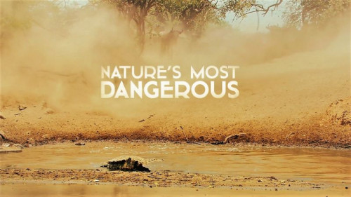 Doclights - Nature's Most Dangerous (2021)