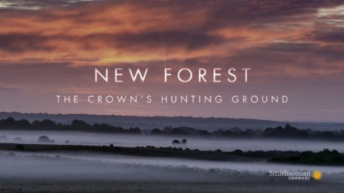 Smithsonian Channel - New Forest The Crown's Hunting Ground (2021)