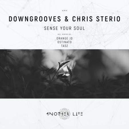 Downgrooves & Chris Sterio - Sense Your Soul (2022)