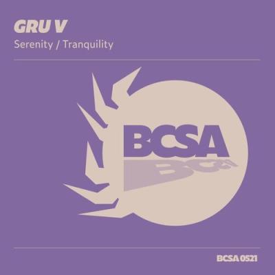 VA - Gru V - Serenity / Tranquility (2022) (MP3)