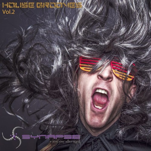 VA - House Grooves Vol. 2 (2022) (MP3)