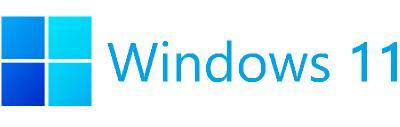Windows 11 RTM Final Build 22000.376 Consumer / Business Edition December 2021 MSDN + Unlocked Pr...