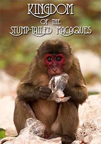 Изображение для Viasat Nature: Королевство медвежьих макак / The Kingdom of the Stump-Tailed Macaques (2020) HDTVRip 720p (кликните для просмотра полного изображения)