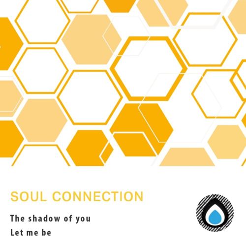 VA - Soul Connection - The Shadow Of You (2022) (MP3)