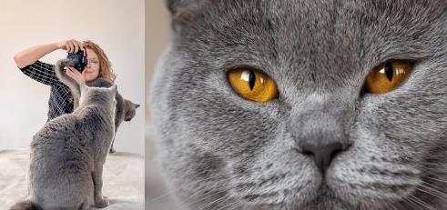 Purrfect Pet Portraits - Composing, Lighting & Capturing Moving Subjects