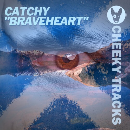 VA - Catchy - Braveheart (2022) (MP3)