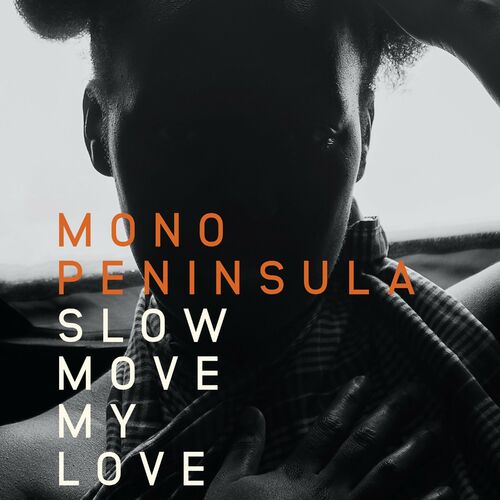 VA - Mono Peninsula - Slow Move My Love (2022) (MP3)