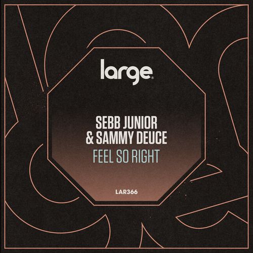 Sebb Junior & Sammy Deuce - Feel So Right (2022)