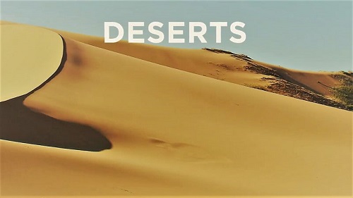 Doclights - Deserts (2021)