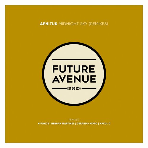 VA - APNITUS - Midnight Sky (Remixes) (2022) (MP3)