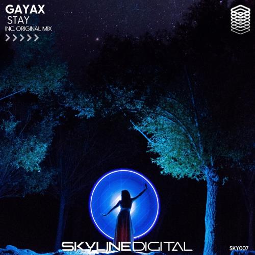 VA - Gayax - Stay (2022) (MP3)